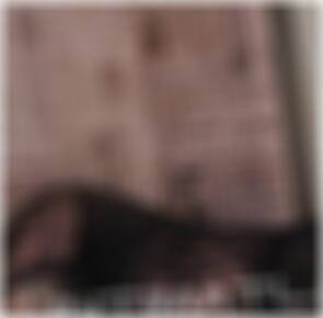 Bad Kreuznach Sex Kontakte Amelia9096
