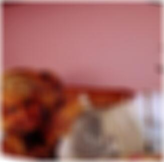 Hamm private Sexkontakte Macy