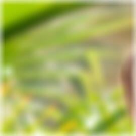 Partnersuche in Gera Lashawna