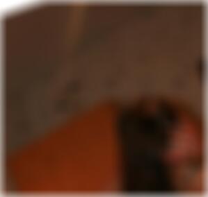 reife Frauen Bautzen Lottie