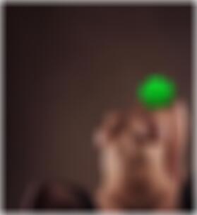 Sex Kontakte in Halberstadt Susan