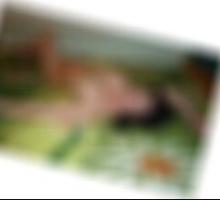 Passau unkompliziertes Dating Traudel