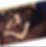 private Sexkontakte in Neunkirchen Ida4961