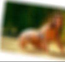 Sexdating Ostfildern Kathey